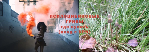 дмт Новозыбков